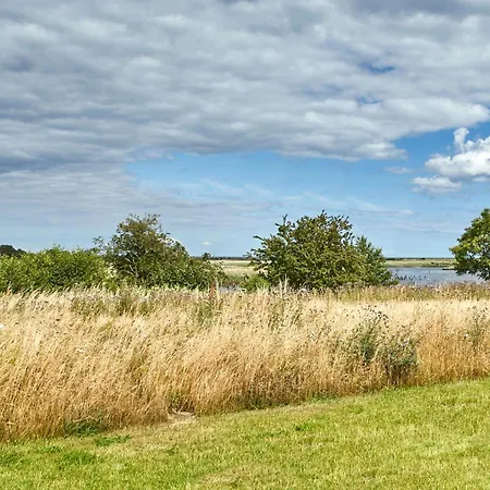 Reetdorf Geltinger Birk Atelierhaus Moorflechte Nieby (Nieby, Schleswig-Flensburg)
