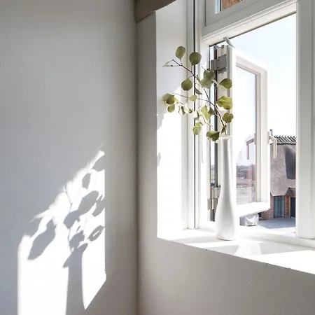 Reetdorf Geltinger Birk Atelierhaus Moorflechte * Nieby (Nieby, Schleswig-Flensburg)